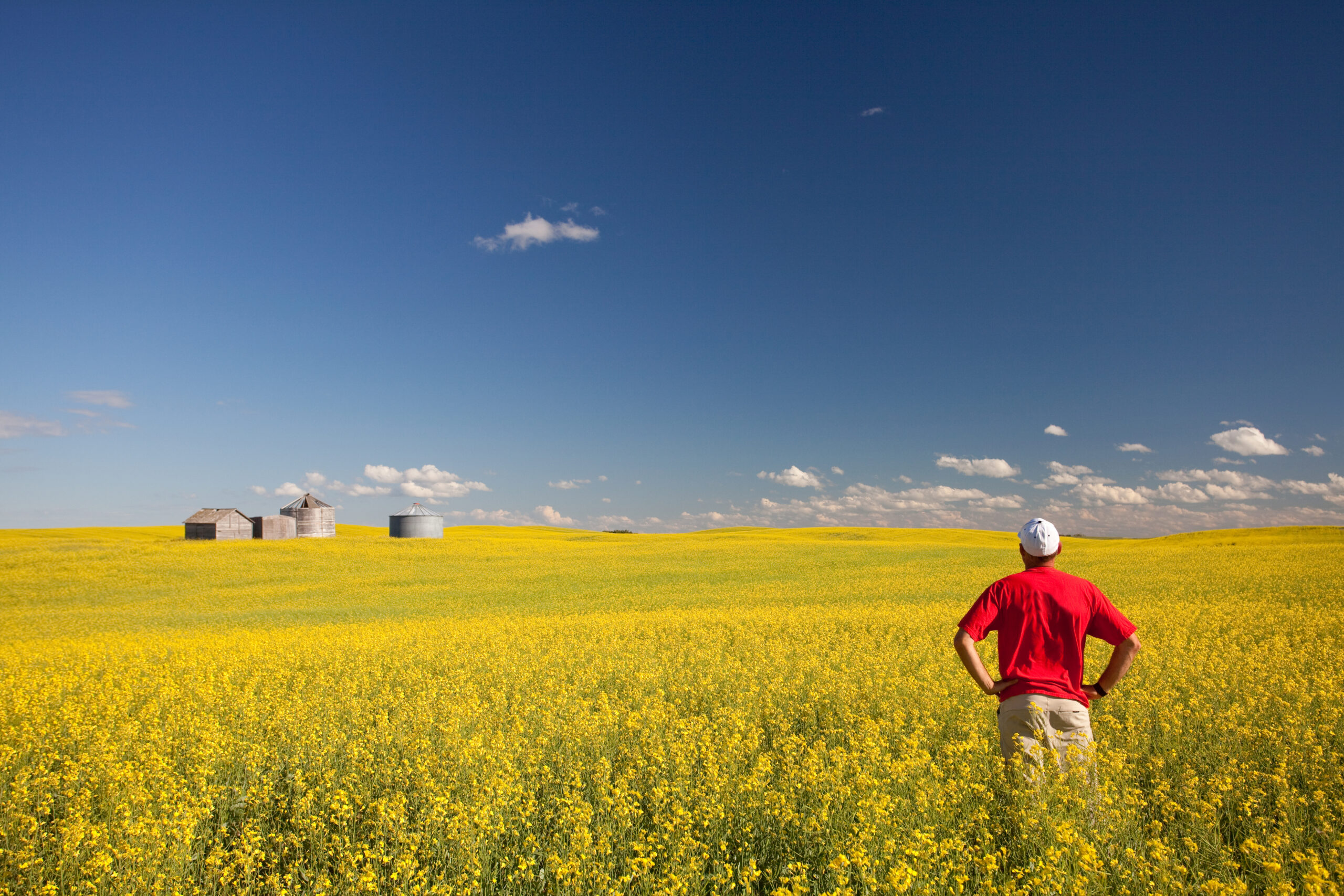 Will Canada benefit from climate change? | Canadian Institute for